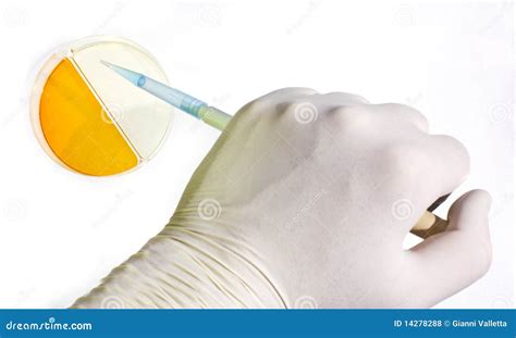 istock child gholding pipette|15,400+ Hand Pipette Stock Photos, Pictures & Royalty.